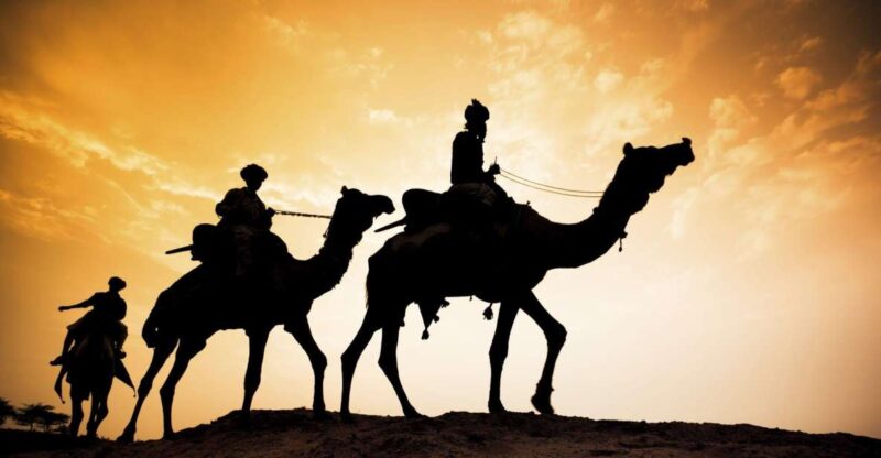 From Agadir or Taghazout: Flamingo River Camel Ride With Tea - Location and Duration