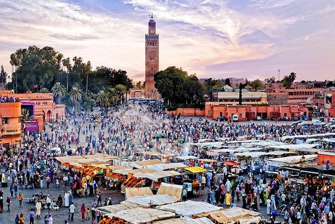 From Agadir or Taghazout: Guided Marrakech Day Trip - Wandering the Old Medina