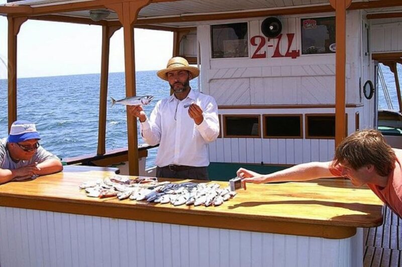From Agadir or Taghazout: Half-Day Coastal Boat Trip & Lunch - Coastal Cruise and Sights