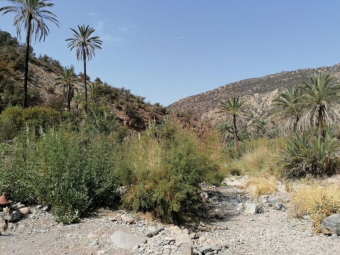 From Agadir: Paradise Valley Visit & Sandboarding With Lunch - Participant Restrictions