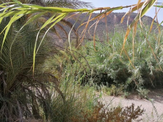 From Agadir: Paradise Valley Visit & Sandboarding With Lunch - Preparation Recommendations