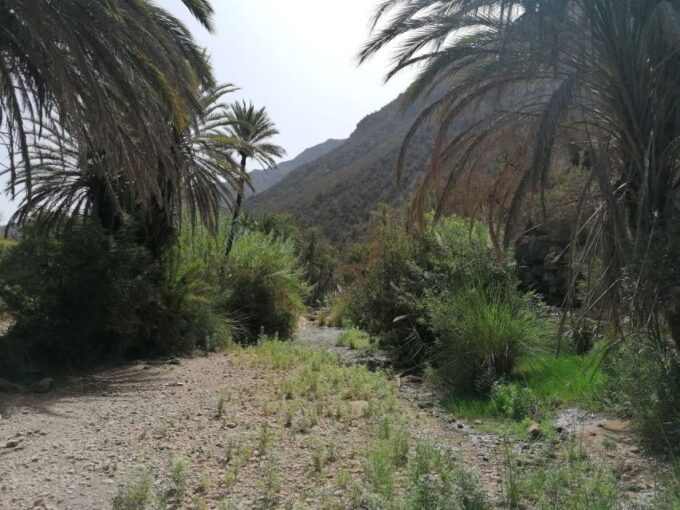 From Agadir: Paradise Valley Visit & Sandboarding With Lunch - Customer Reviews