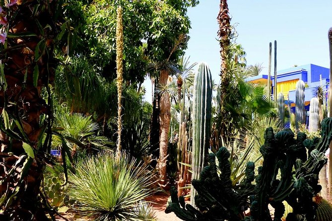 From Agadir: Private Day Trip to Marrakech - Transportation and Pickup