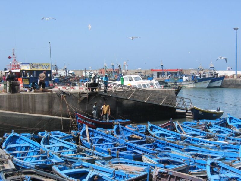 From Agadir: Private or Shared Essaouira Day Trip - Argan Oil Cooperative