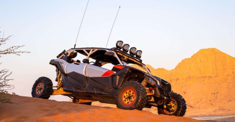 From Agadir: Sahara Desert Buggy Tour With Snack & Transfer - Key Points
