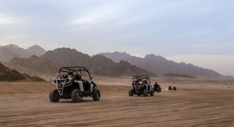 From Agadir: Sahara Desert Buggy Tour With Snack & Transfer - Activity Details