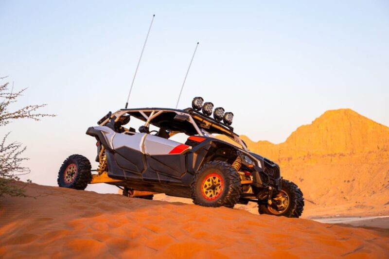From Agadir: Sahara Desert Buggy Tour With Snack & Transfer - Key Points