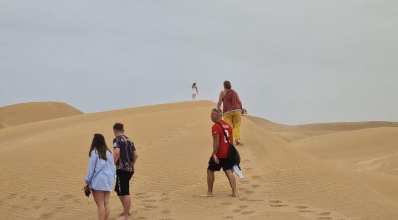 From Agadir: Sahara Desert Day Trip and Camel Ride - Key Points