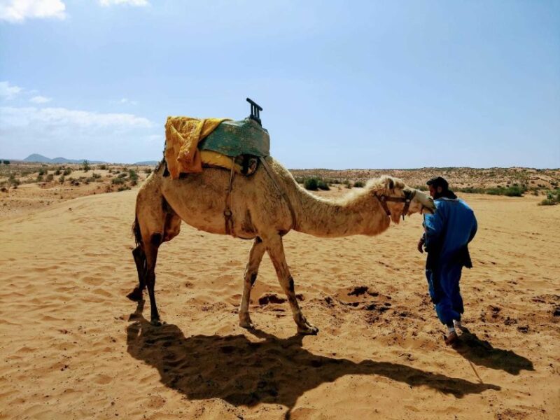 From Agadir: Sahara Desert Day Trip and Camel Ride - Itinerary Highlights