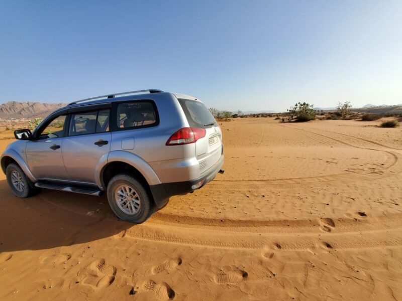 From Agadir: Sahara Desert Day Trip and Camel Ride - Activity Details