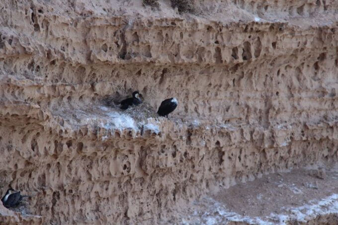 From Agadir: Sahara Desert Day Trip in 4×4 Jeep - Transportation and Pick-up