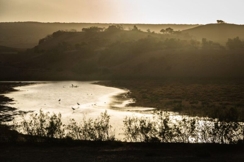 From Agadir: Sous Massa National Park Desert Safari W/Lunch - Wildlife Encounter