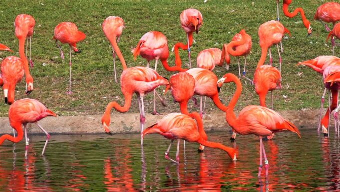 From Agadir: Sous Massa National Park Desert Safari W/Lunch - Frequently Asked Questions