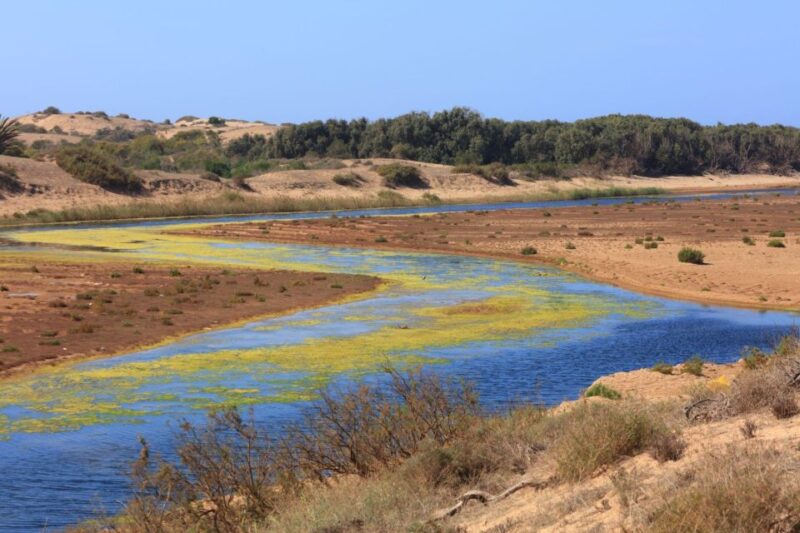 From Agadir: Sous Massa National Park Desert Safari W/Lunch - Explore Fishermans Cave