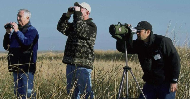 From Agadir: Souss-Massa Park Bird Watching Private Tour - Activity Highlights