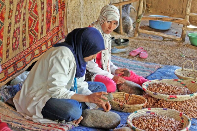 From Agadir: Tafraoute the Anti Atlas Day Trip With Lunch - Highlights and Attractions