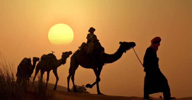 From Agadir/Taghazout: Camel Ride With Tea and Flamingos - Key Points