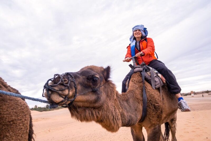 From Agadir/Taghazout: Camel Ride With Tea and Flamingos - Camel Ride Experience