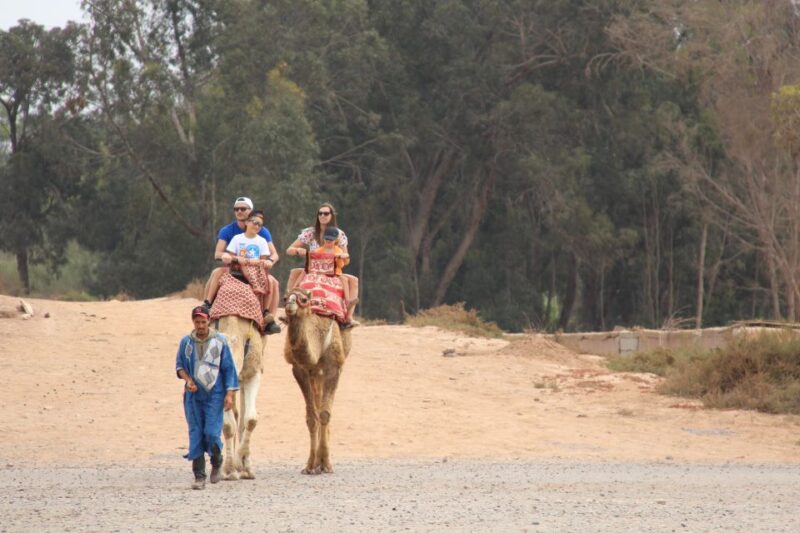 From Agadir/Taghazout: Camel Ride With Tea and Flamingos - Refreshments and Amenities