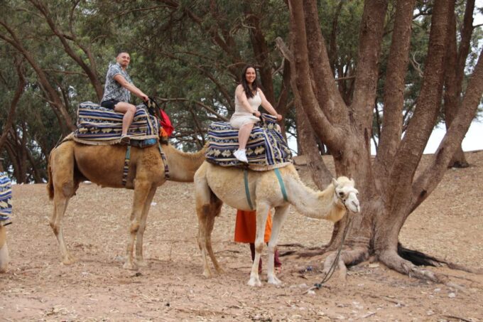 From Agadir/Taghazout: Camel Ride With Tea and Flamingos - Customer Feedback