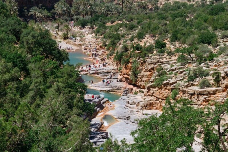 From Agadir & Taghazout: Paradise Valley Tour +Lunch +Drinks - Included in the Tour