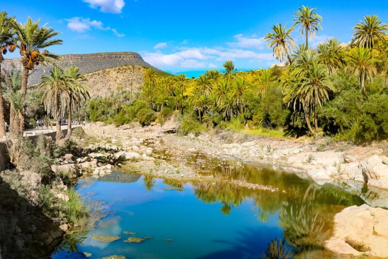 From Agadir & Taghazout: Paradise Valley Tour +Lunch +Drinks - Customer Feedback