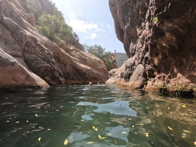 From Agadir & Taghazout: Paradise Valley Tour +Lunch +Drinks - Exploring the Natural Wonders