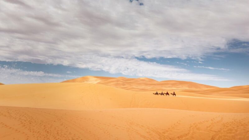 From Agadir/Taghazout: Sahara Sand Dunes With Transfer - Key Points
