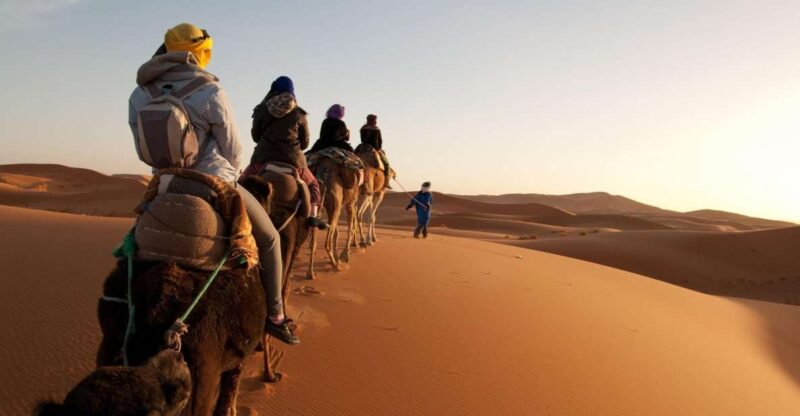 From Agadir/Taghazout: Sahara Sand Dunes With Transfer - Coastal Charm and Scenery