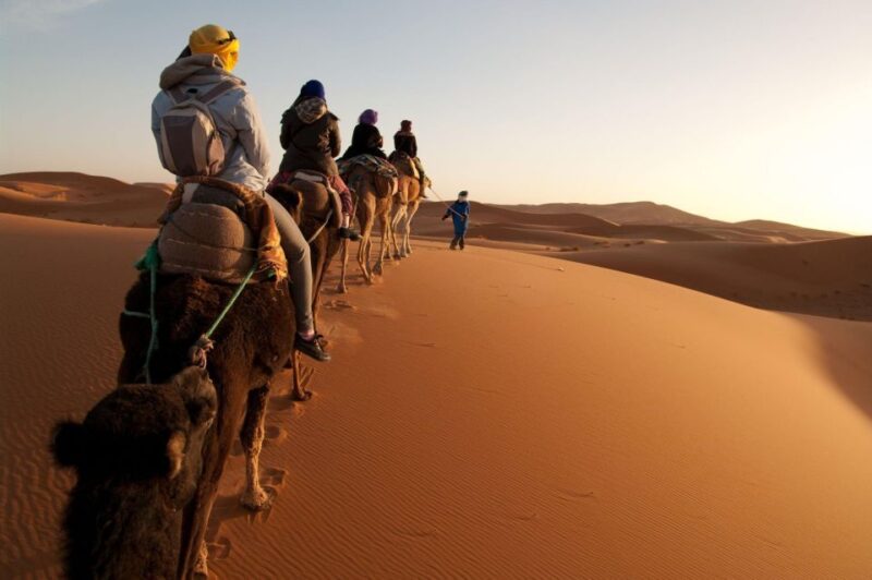 From Agadir/Taghazout: Sahara Sand Dunes With Transfer - Activity Details