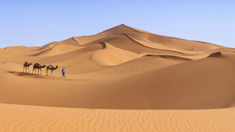 From Agadir/Taghazout: Sahara Sand Dunes With Transfer - Included Experiences