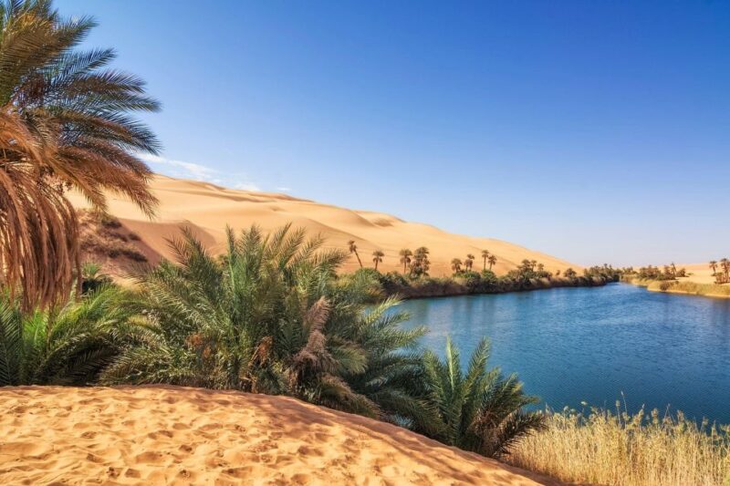 From Agadir/Taghazout: Sahara Sand Dunes With Transfer - Transportation Provided