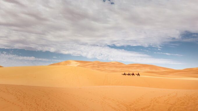 From Agadir/Taghazout: Sahara Sand Dunes With Transfer - Booking Information