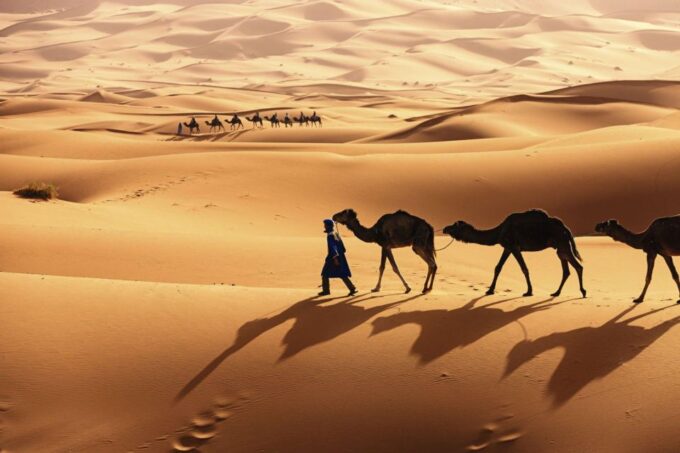 From Agadir/Taghazout: Sahara Sand Dunes With Transfer - Explore the Sahara