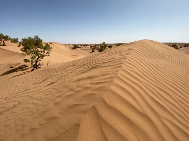 From Agadir/Tamraght/Taghazout: Sandoarding in Sand Dunes - Experience Highlights