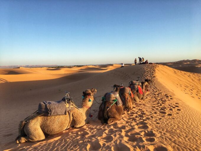 From Agadir/Tamraght/Taghazout: Sandoarding in Sand Dunes - Frequently Asked Questions