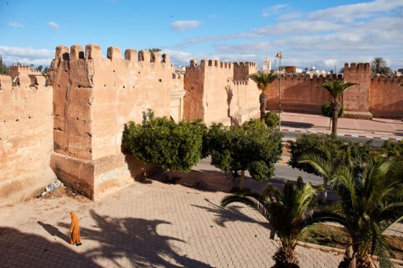 From Agadir: Taroudant & Tiout Guided Trip Including Lunch - Inclusions