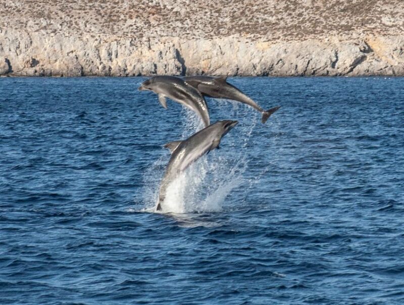 From Agia Anna: Sunset Boat Cruise With Refreshments - Pricing and Booking