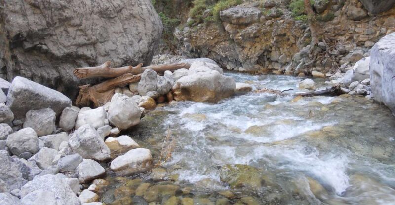 From Agia Galini/Matala: Samaria Gorge Hiking Tour - Natural Highlights and Wildlife
