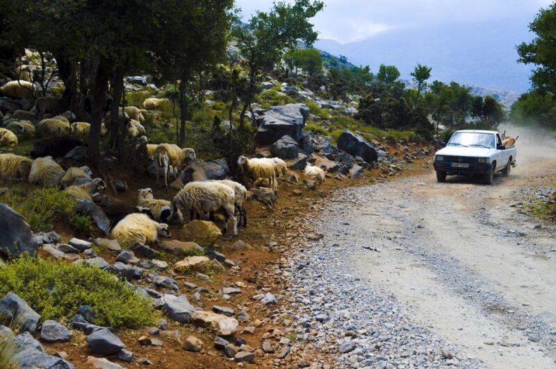 From Agios Nikolaos: Day Tour to Zeus Cave & Lasithi Plateau - Visiting Ancient Lato