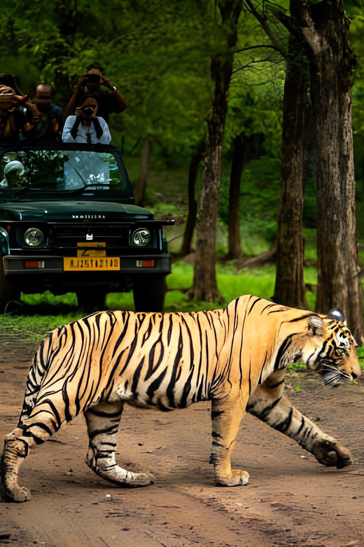 From Agra: 2 Days 1 Night Ranthambore Tiger Safari Tour - Wildlife Experience