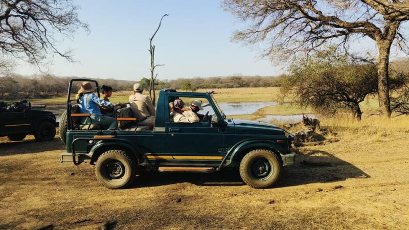 From Agra: 2 Days 1 Night Ranthambore Tiger Safari Tour - Cancellation and Refund