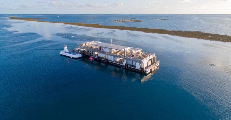 From Airlie Beach: Cruise and ReefWorld Pontoon Experience - Vessel and Journey Details