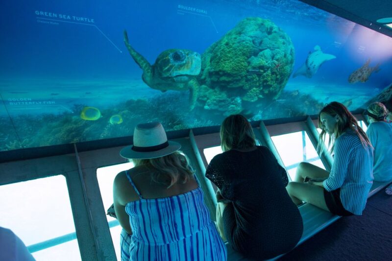From Airlie Beach: Cruise and ReefWorld Pontoon Experience - Inclusions in the Package