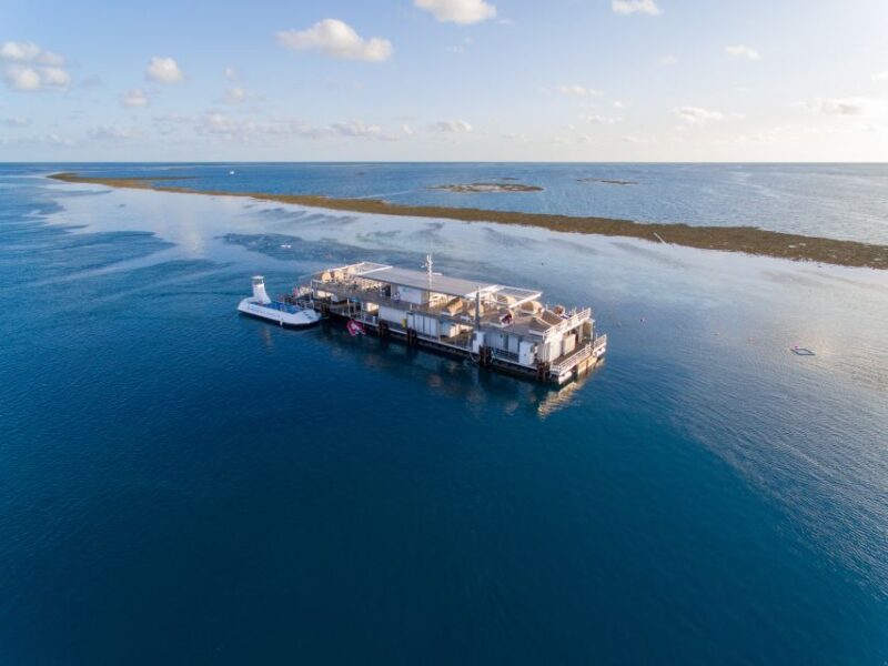 From Airlie Beach: Cruise and ReefWorld Pontoon Experience - Departing From Airlie Beach
