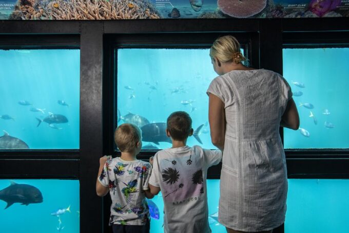 From Airlie Beach: Cruise and ReefWorld Pontoon Experience - Exploring the Great Barrier Reef