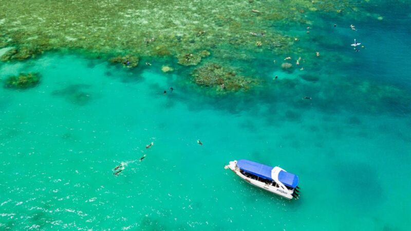 From Airlie Beach: Whitehaven and Chalkies Beaches Day Tour - Activities Included