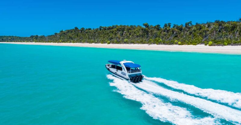 From Airlie Beach: Whitehaven and Chalkies Beaches Day Tour - Boat and Safety