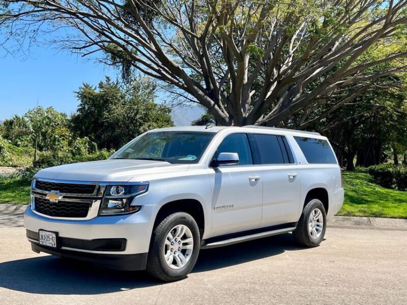 From Airport to Puerto Vallarta: One-Way Transfer by SUV - Vehicle and Comfort Features