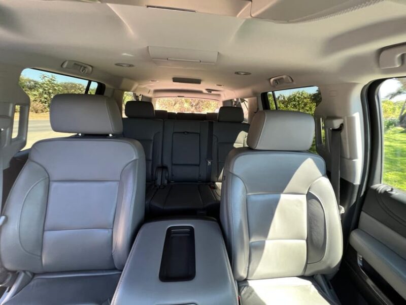 From Airport to Puerto Vallarta: One-Way Transfer by SUV - Driver and Language Support